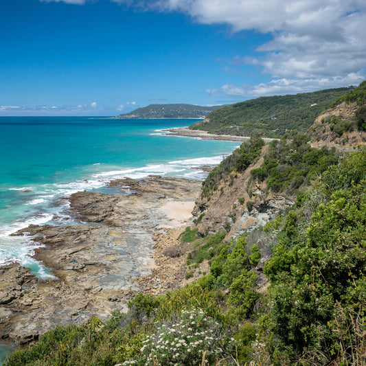 Duftkerze Mediterrane Küste | Salbei, Pinie, Thymian, Sandelholz | Frisch & Erdend