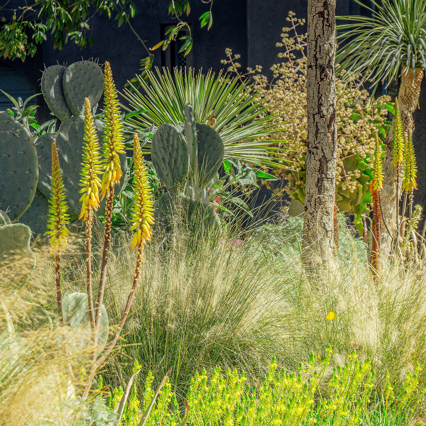 Orientalischer Garten - Duftkerze